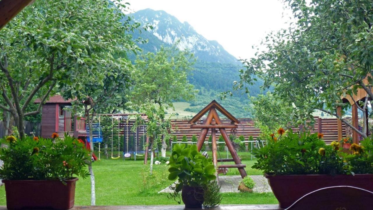 Hotel Sura Pietrei Craiului Zărneşti Esterno foto